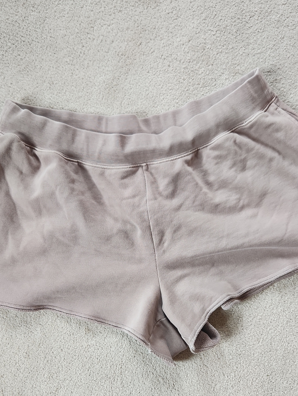 Aerie Aumni Sweat Shorts Casual Athleisure - Large